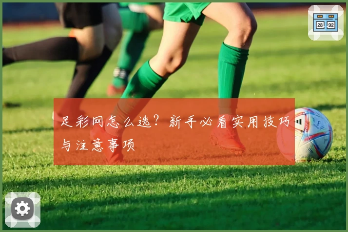 足彩网怎么选？新手必看实用技巧与注意事项