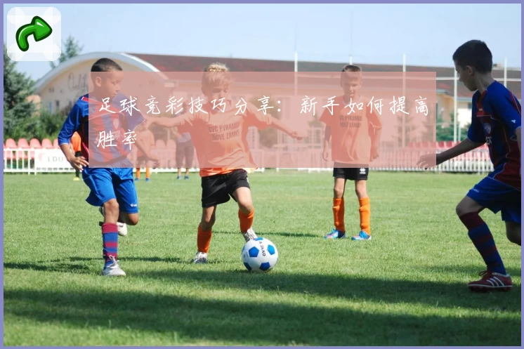 足球竞彩技巧分享：新手如何提高胜率