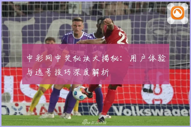 中彩网中奖秘诀大揭秘：用户体验与选号技巧深度解析