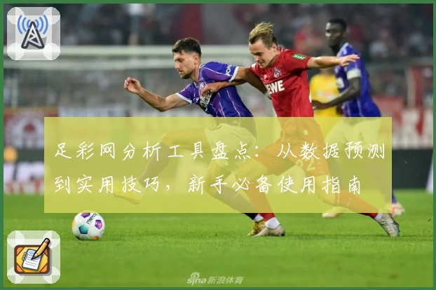 足彩网分析工具盘点：从数据预测到实用技巧，新手必备使用指南