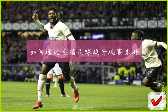 如何通过竞猜足球提升观赛乐趣
